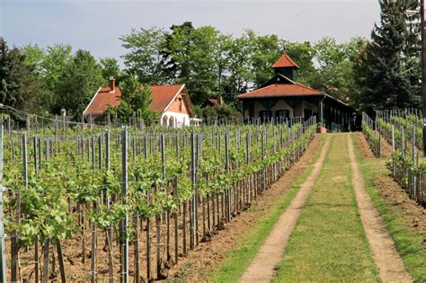 Monori járás térképe