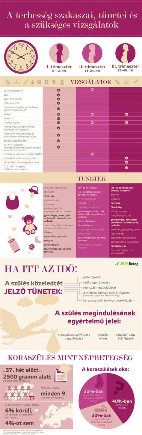 Infografika: a házépítés fő szakaszai és időtartama
