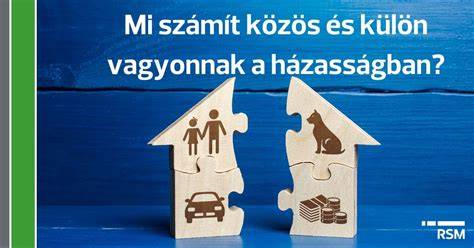 Térképszerű ábra a közös és külön tulajdonba sorolt részek elhatárolásáról