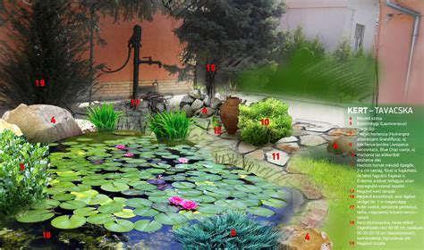 Kerttervezés tóval
