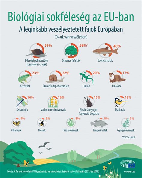 Infografika az ipari területek beépítési mutatóiról