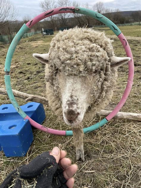 Loggia beépítésének különböző fázisai