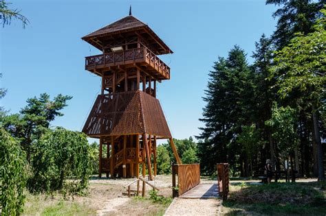 Kilátó a Jeli Arborétumban
