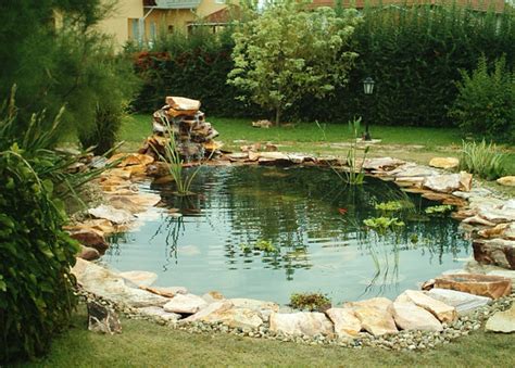 Kerti tó építése