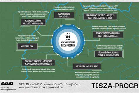 infografika_a_kaució_nélküli_autóbérlésről_százhalombatta.jpg