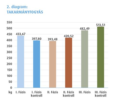 Diagram: Nagykanizsa kemping és kapcsolódó vállalkozások hálózata