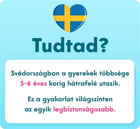 Infografika a privát stégről és a Dunára néző elrendezésről