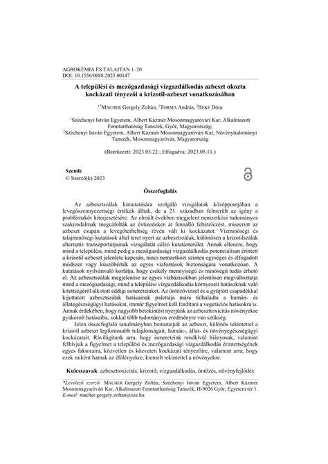 Települési zöldfelületi kialakítás - fasor és háromszintes növényállomány