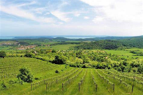 Balaton-felvidéki borvidék és kilátók