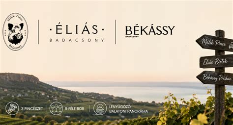 Badacsony borvidék - vulkanikus borok és kilátók