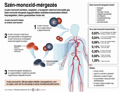 Szén-monoxid expozíció hatása a vér COHb szintre