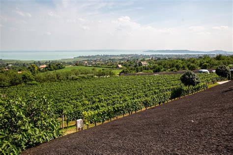 Balaton panoráma és zártkerti telkek környezete