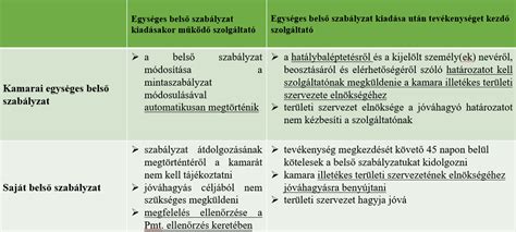 Kijelölt felelős vezető és megfelelési vezető szerepe