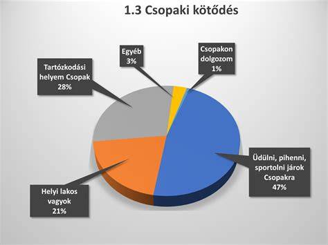 Infografika: Cégstruktúra és szakmai területek