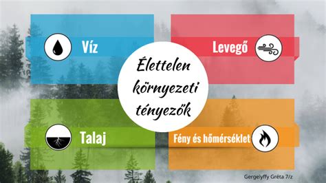 Infografika: megvilágítás, talaj- és ültetési környezeti tényezők