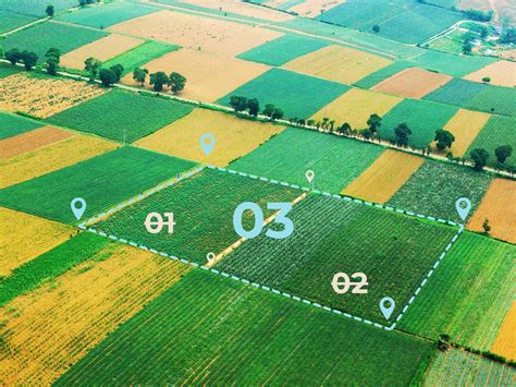 Telek kiválasztásának folyamata