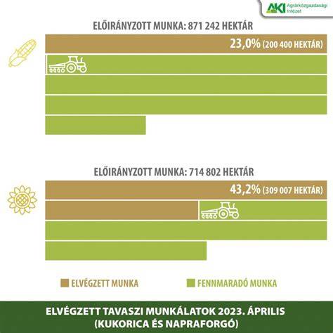 Infografika: 2026 tavaszi piacstagnálás hazai bontásban