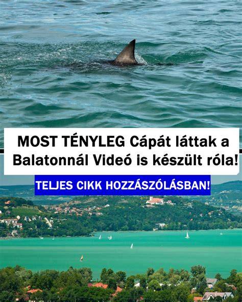 Üdülőingatlan a Balatonnál