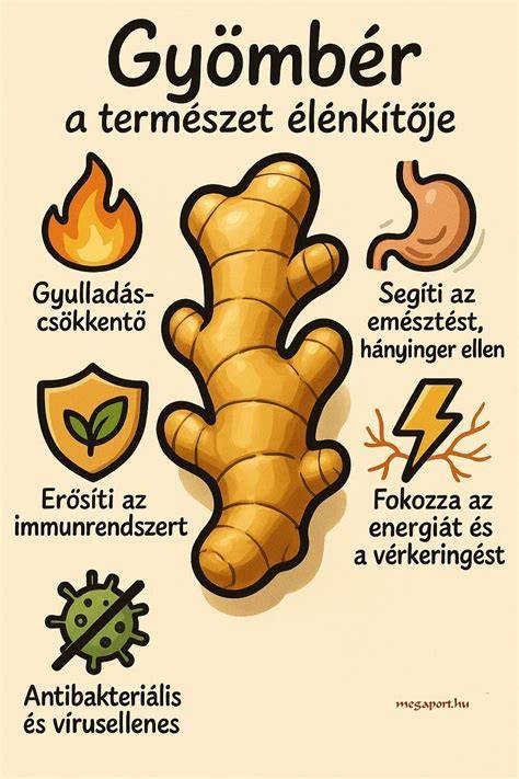 Infografika: Véradás hatásai a gyógyításban