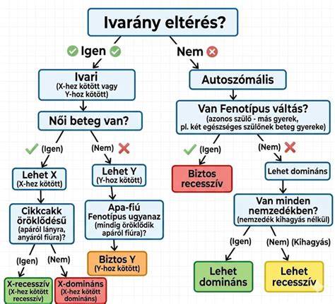 Infografika: tetőtér-beépítés lépései és döntési fa