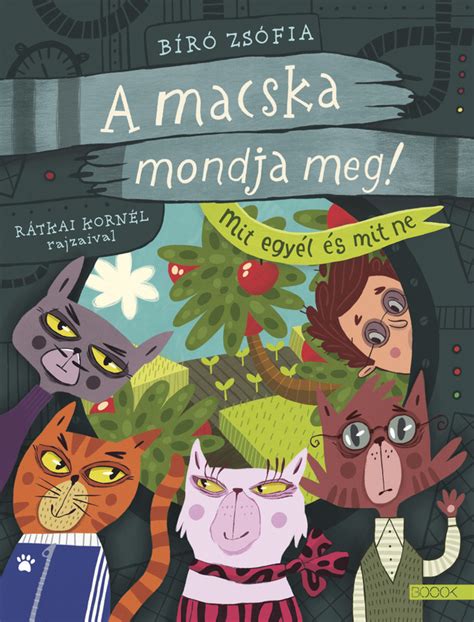 A Mecsek Híradó borítója (illusztráció)