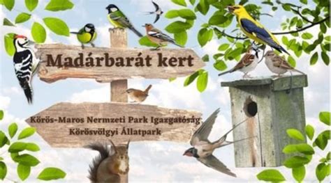 Madárbarát kert program keretében kihelyezett madárodú és itató