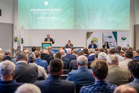 Főutcai közműhálózatok elhelyezkedésének réteges szemléltetése