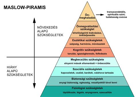 Infografika: típusházak felépítése és tartalmi kategóriák