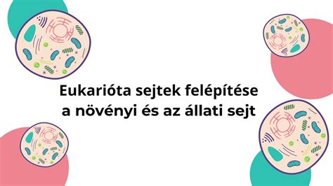 Különböző lifttípusok összehasonlítása