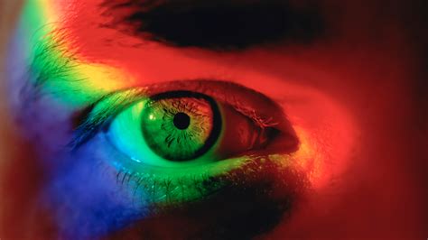 kép egy laptopról, amelyen egy online kalkulátor fut