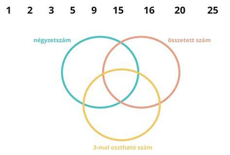 oszthatóság és közös költség struktúra infographic