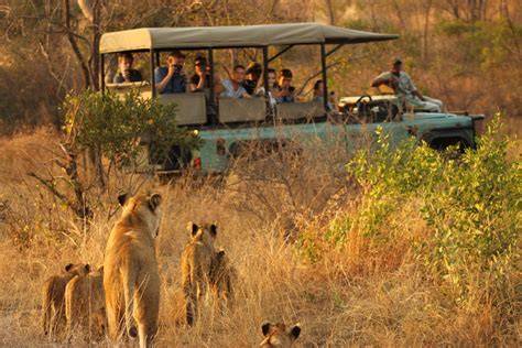 Kruger Nemzeti Park: safari terepjáró