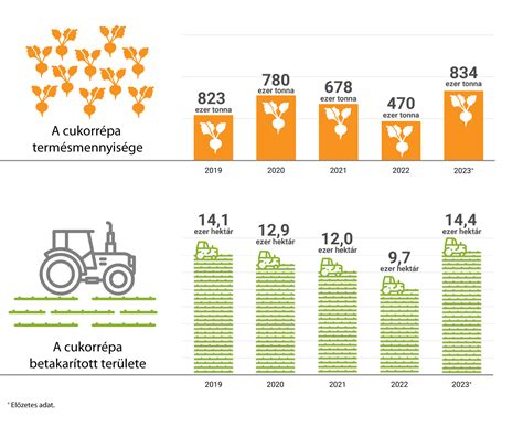 Infografika a Bátaszék-i borvidékről: földrajzi elrendeződés, főbb pincészetek és szőlőfajták