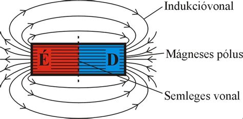 A mágneses mező erővonalai