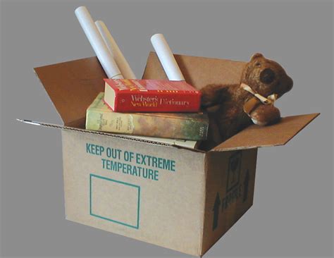 A lomtalanítás folyamata