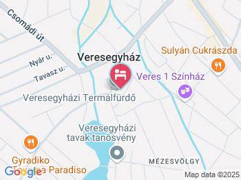 Vizualizációs térkép Veresegyház központi részéről a telken elhelyezkedő funkciókkal