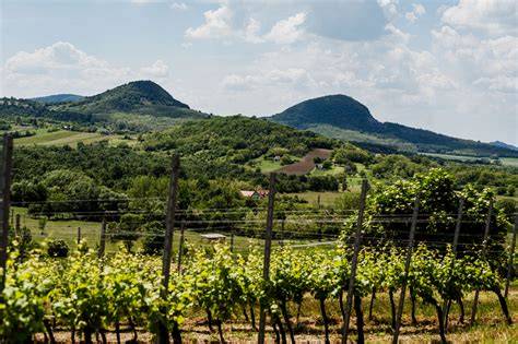Balaton-felvidék panoráma, dombos vidéki táj