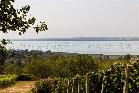 Kilátás a Borkúti Panzióból Kőröshegyre és a Balatonra