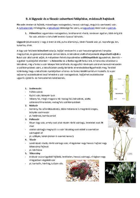 Infografika: Szegedi albérlet-típusok és környékek felépítése