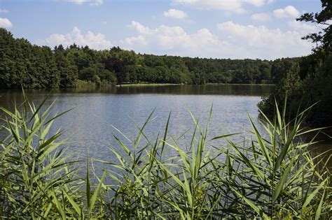 Szajki-tavak panorámája