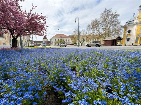 Komárom várostérkép, jelölve: belváros, Igmándi út, Koppánymonostor