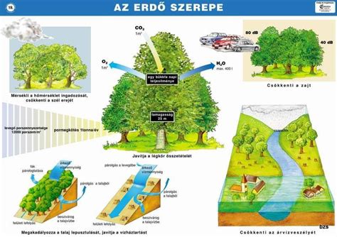 Az ingatlan-nyilvántartás szerepe az árverezésben