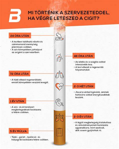 Infografika: Hogyan történik a gyorsszerviz folyamat