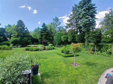 Egy gondozott kert képe