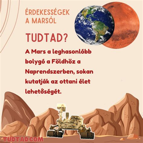A_erdekessegek_a_fürjtejtesrol