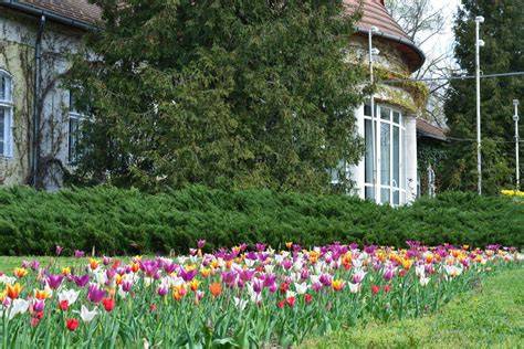 Kilátás a kastélypark felé: a tájkép és a történelmi kertek