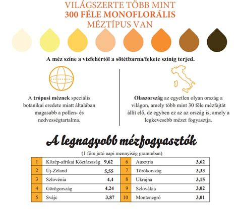 Infografika a magyar jogi oktatásról