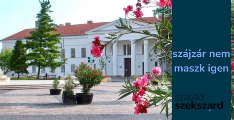 A Szekszárdi vásártér
