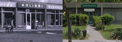 Faültetők sgraffito a Papp József tér homlokzatán (illusztráció)