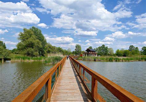 Vízpart és apartmanok elrendezése a Szőke Tisza Pihenőparkban